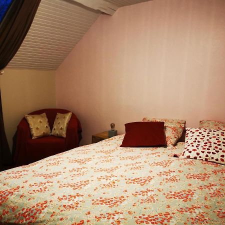 לינה וארוחת בוקר Bersaillin Domaine De L'Esperance, Chambre Rose מראה חיצוני תמונה
